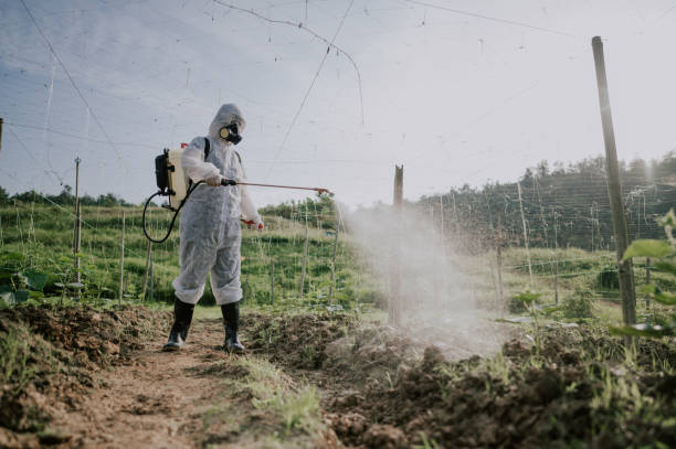 Best Affordable Pest Control Services  in Langhorne, PA