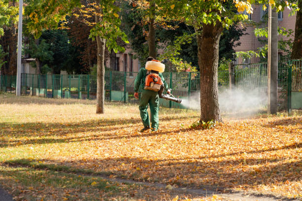 Insect Control in Langhorne, PA